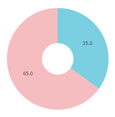 FRauウェブサイト性別円グラフ